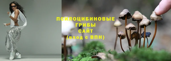 2c-b Елабуга