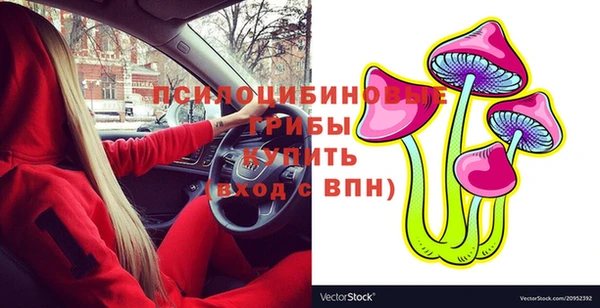 2c-b Елабуга